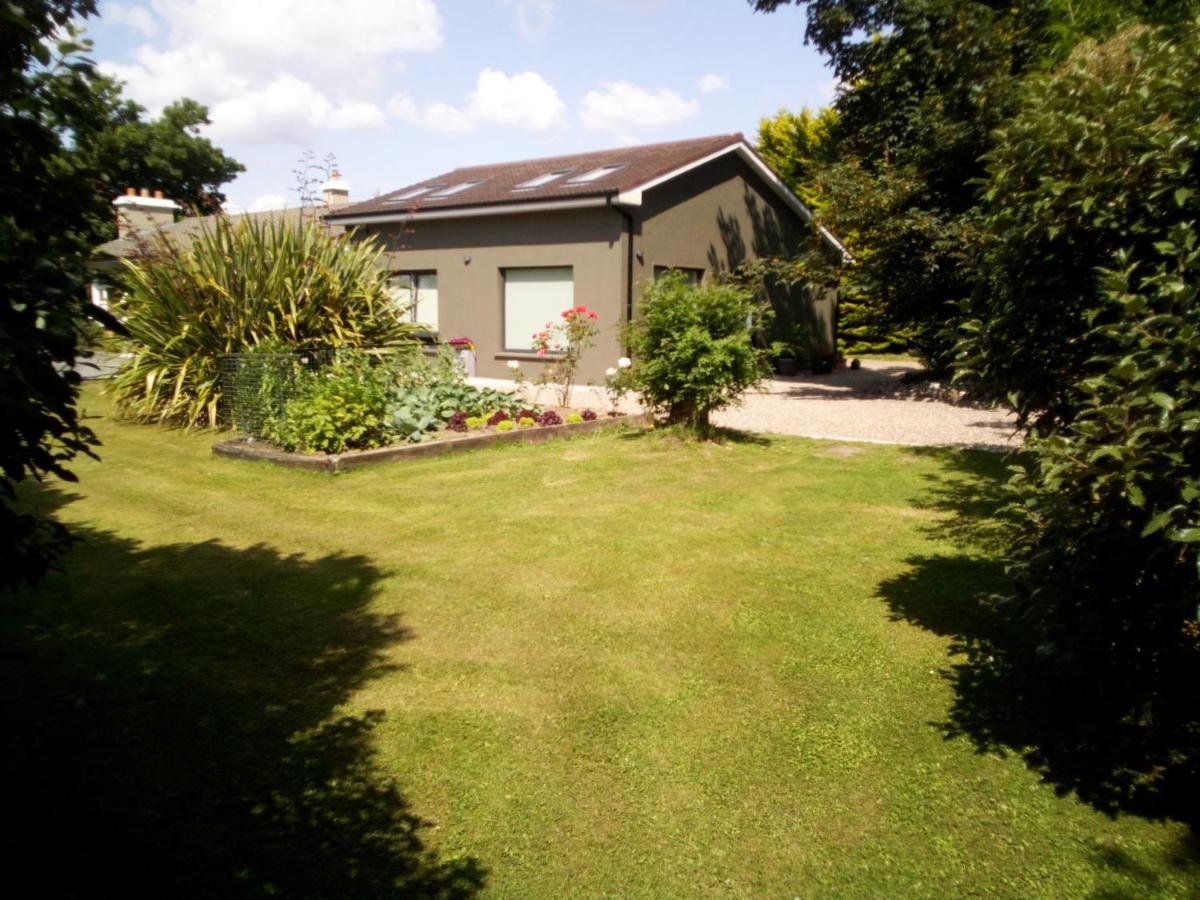 Spacious Contemporary Chalet Type Apartment. Galway Eksteriør billede