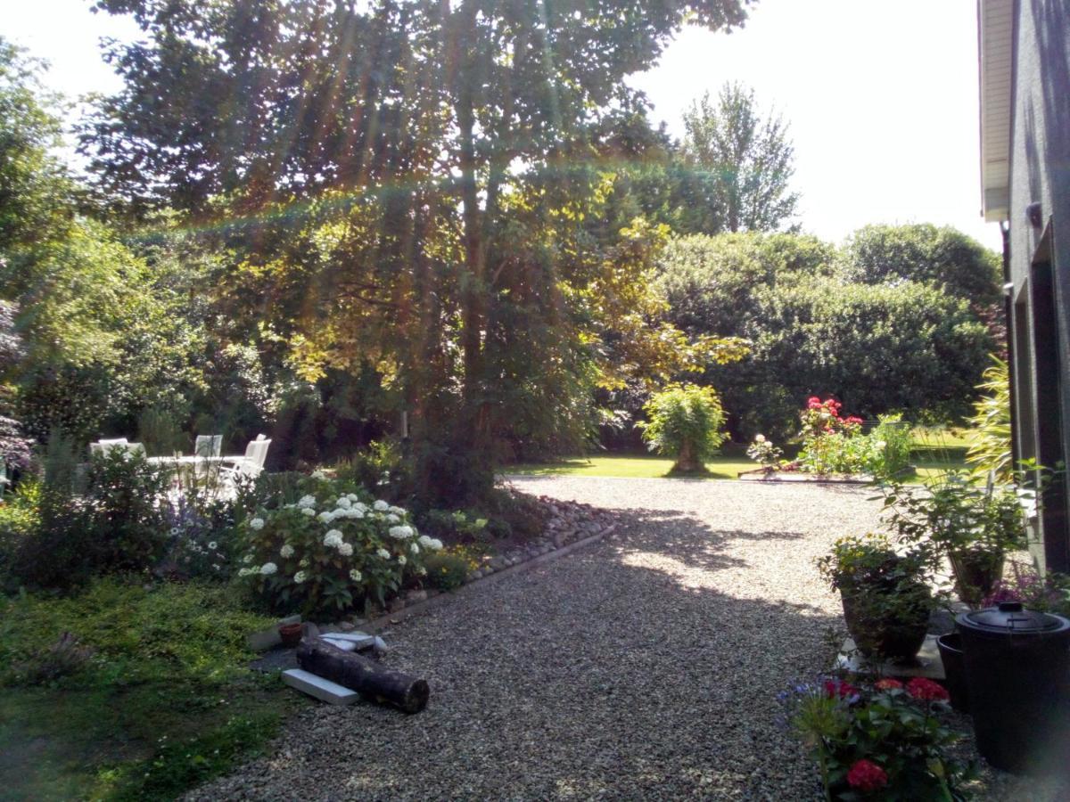 Spacious Contemporary Chalet Type Apartment. Galway Eksteriør billede