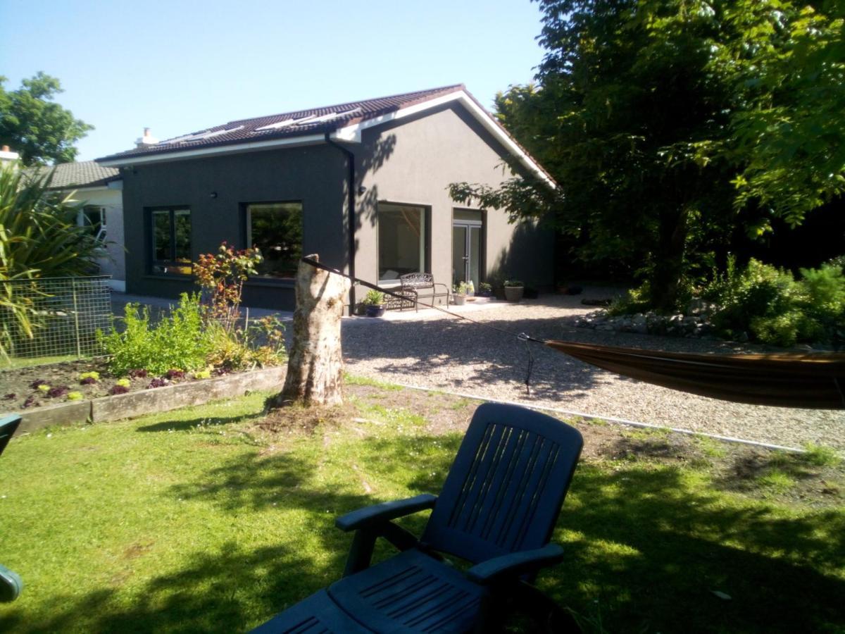 Spacious Contemporary Chalet Type Apartment. Galway Eksteriør billede