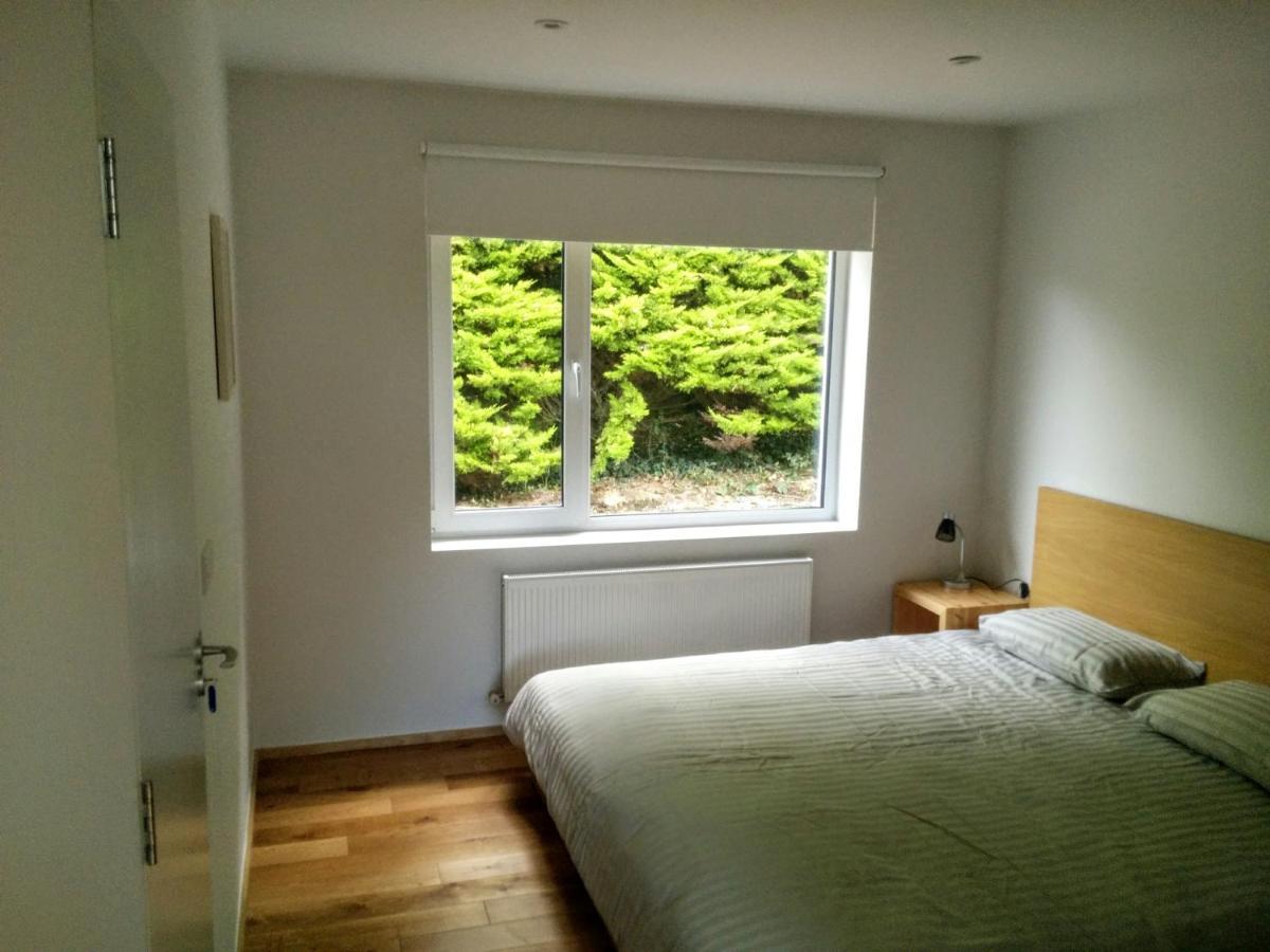 Spacious Contemporary Chalet Type Apartment. Galway Eksteriør billede
