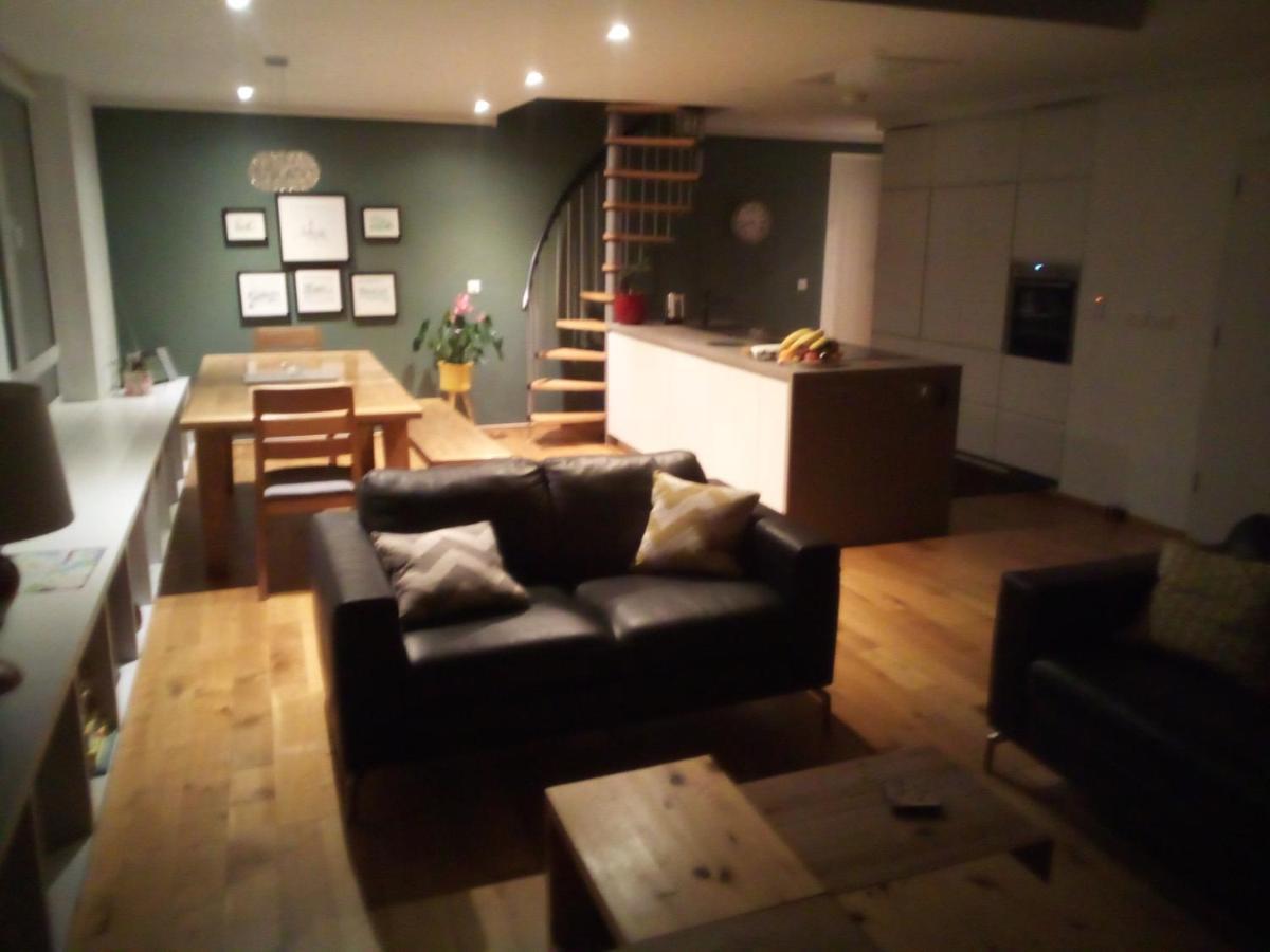 Spacious Contemporary Chalet Type Apartment. Galway Eksteriør billede