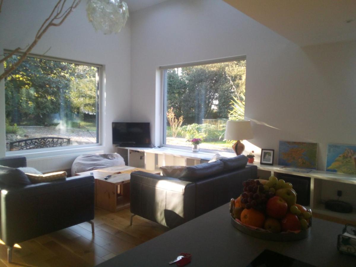 Spacious Contemporary Chalet Type Apartment. Galway Eksteriør billede