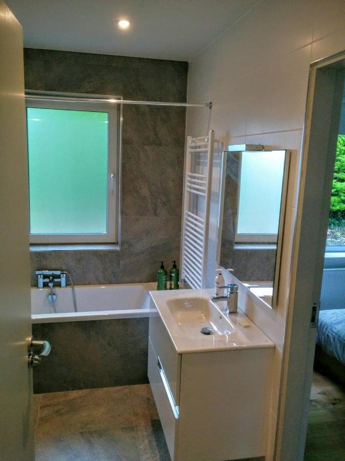 Spacious Contemporary Chalet Type Apartment. Galway Eksteriør billede