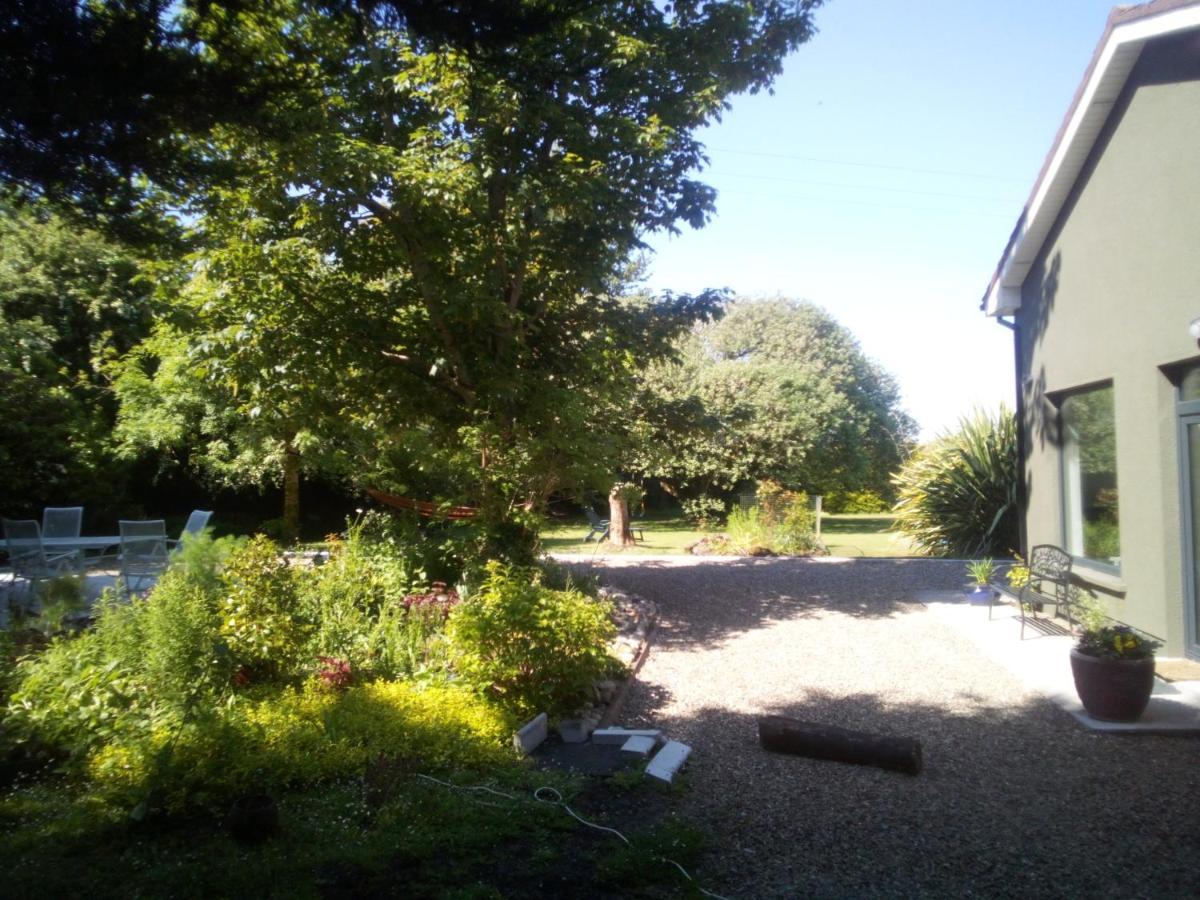 Spacious Contemporary Chalet Type Apartment. Galway Eksteriør billede