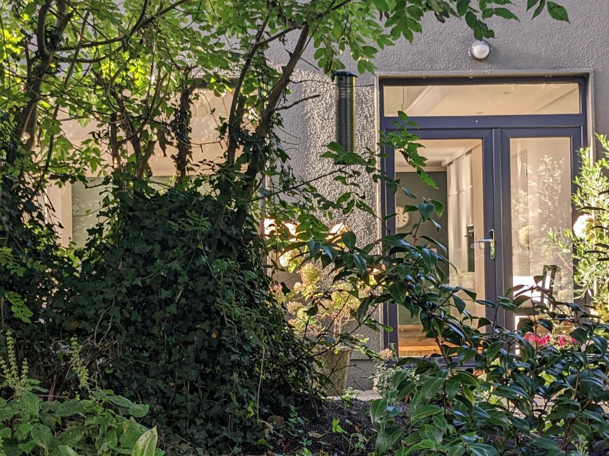 Spacious Contemporary Chalet Type Apartment. Galway Eksteriør billede